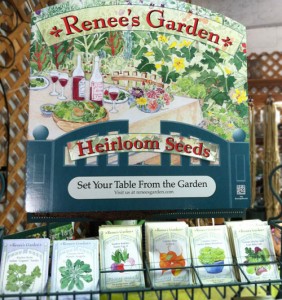 somerville-spring-renees-garden-seeds-rickys-union-square1
